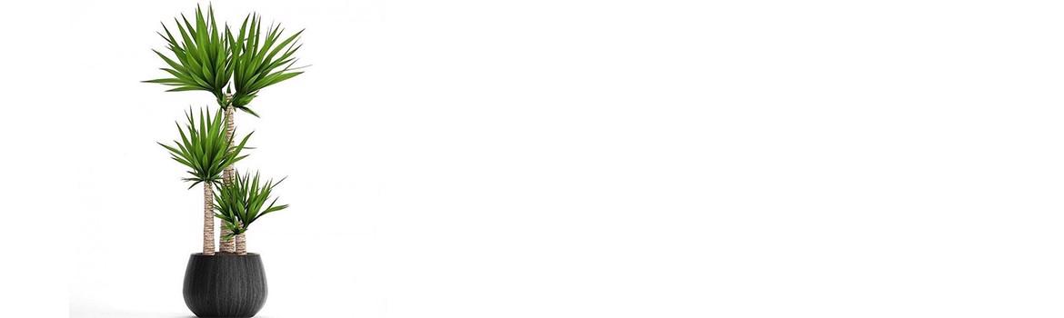 Chidaneh.com placeholder image