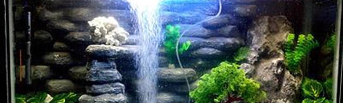 Chidaneh.com placeholder image