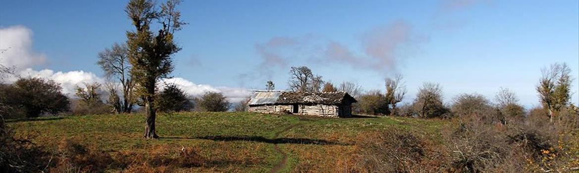 استودیو عکس مستار