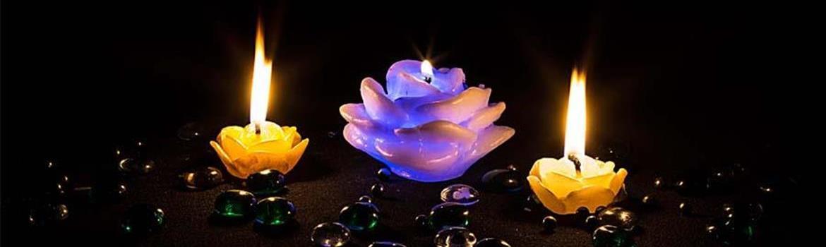 فروشگاه ترگل مظهری