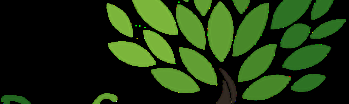 Chidaneh.com placeholder image