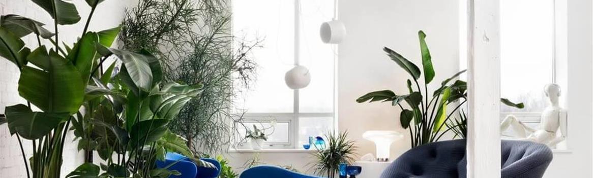 شرکت پاکان سبز غرب