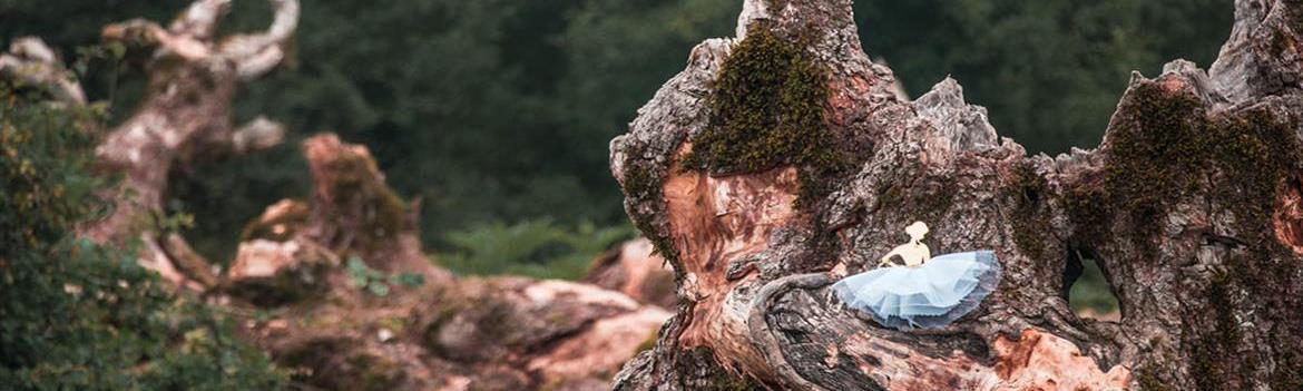 فروشگاه کرونا24