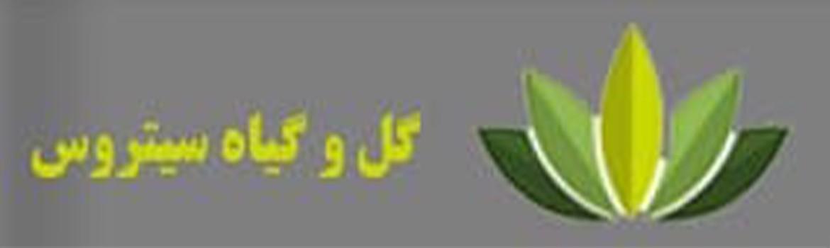 Chidaneh.com placeholder image
