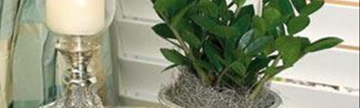 Chidaneh.com placeholder image