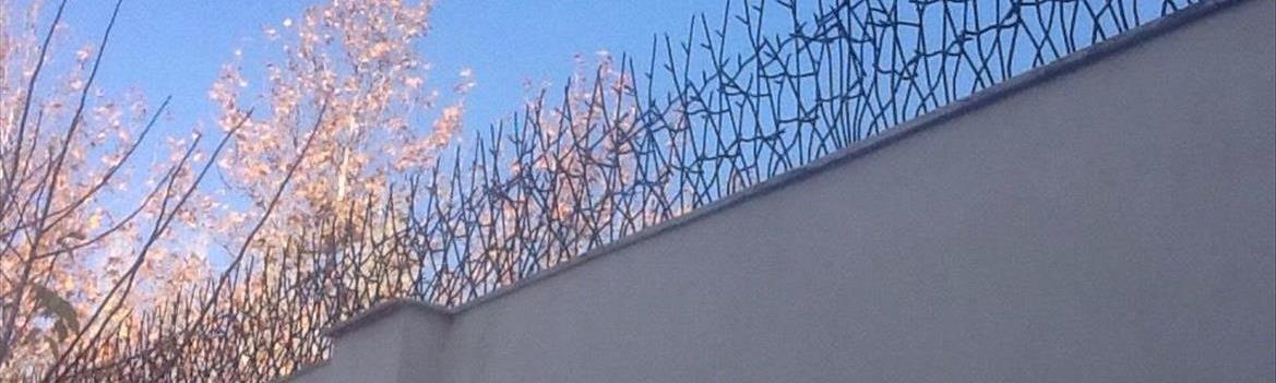 تولید کننده:حفاظ شاخ گوزنی