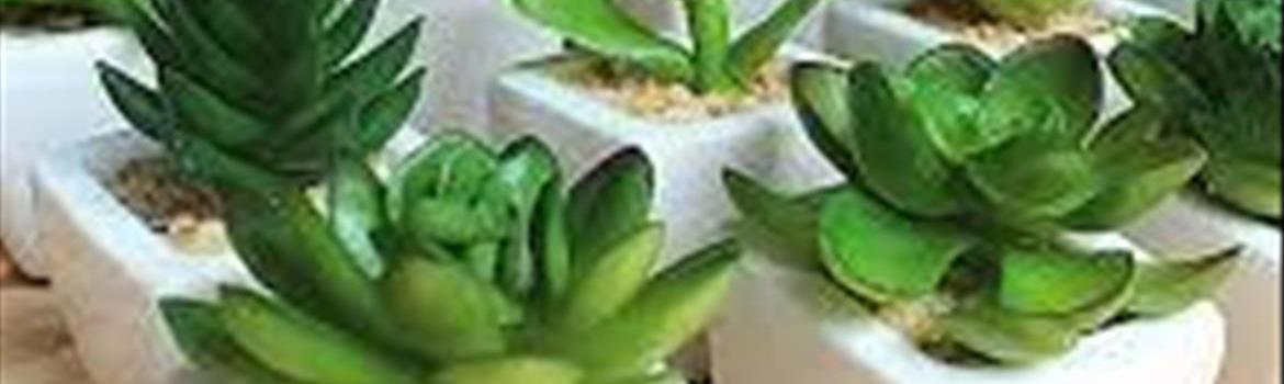 شرکت دیتن تدبیر