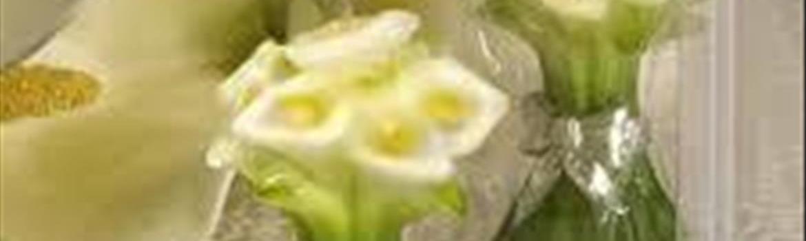 Chidaneh.com placeholder image