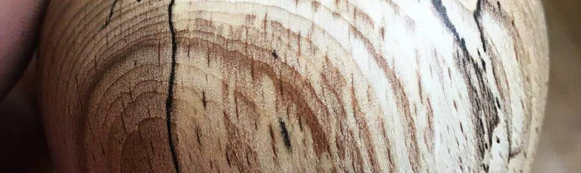 گروه سرو دیزاین