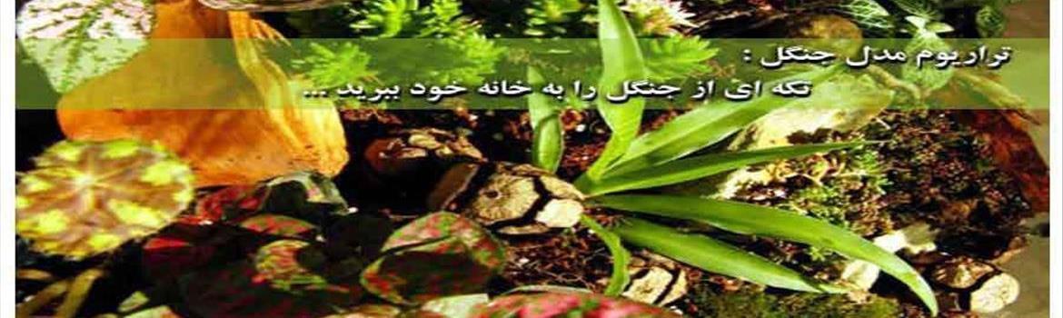 Chidaneh.com placeholder image