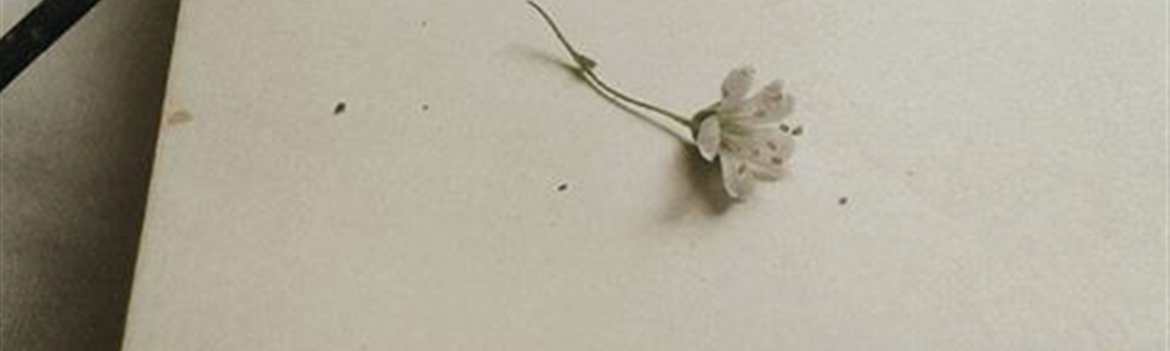 Chidaneh.com placeholder image