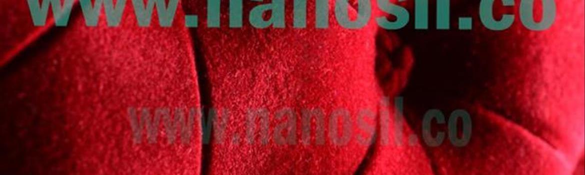 پردازشگران هونام کاسپین