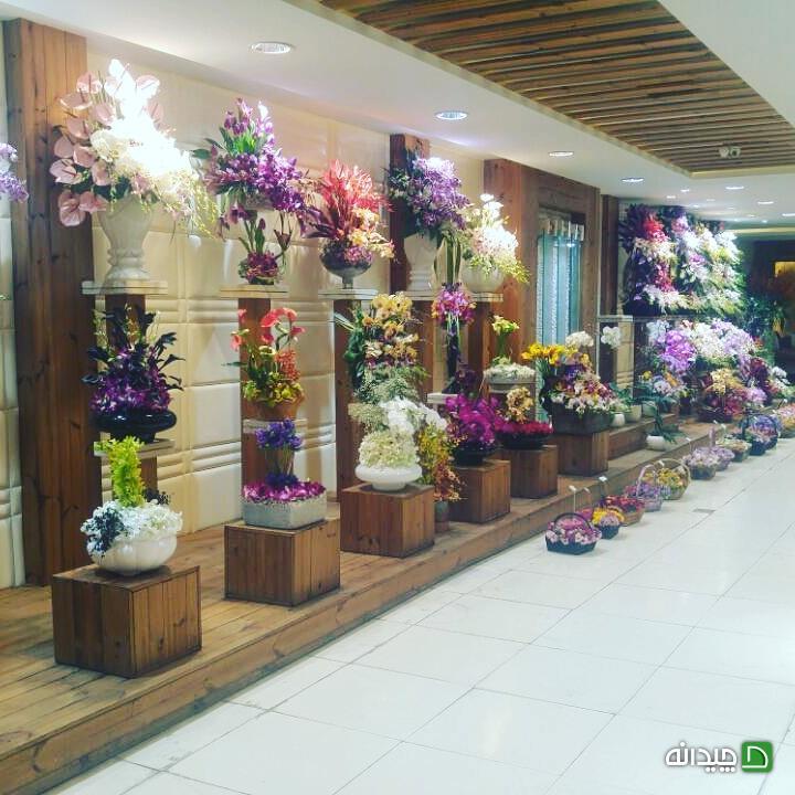 Chidaneh.com placeholder image