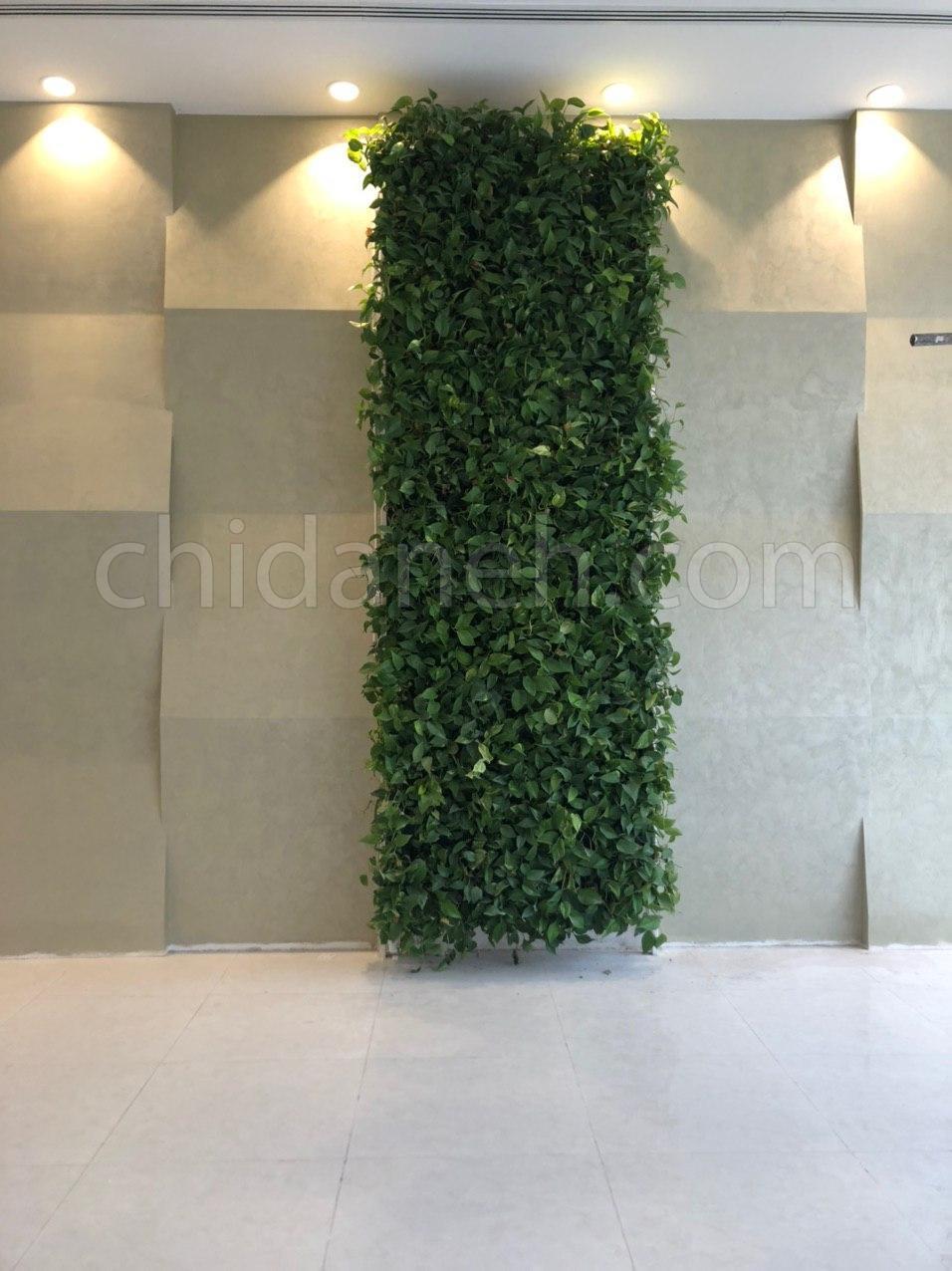 Chidaneh.com placeholder image