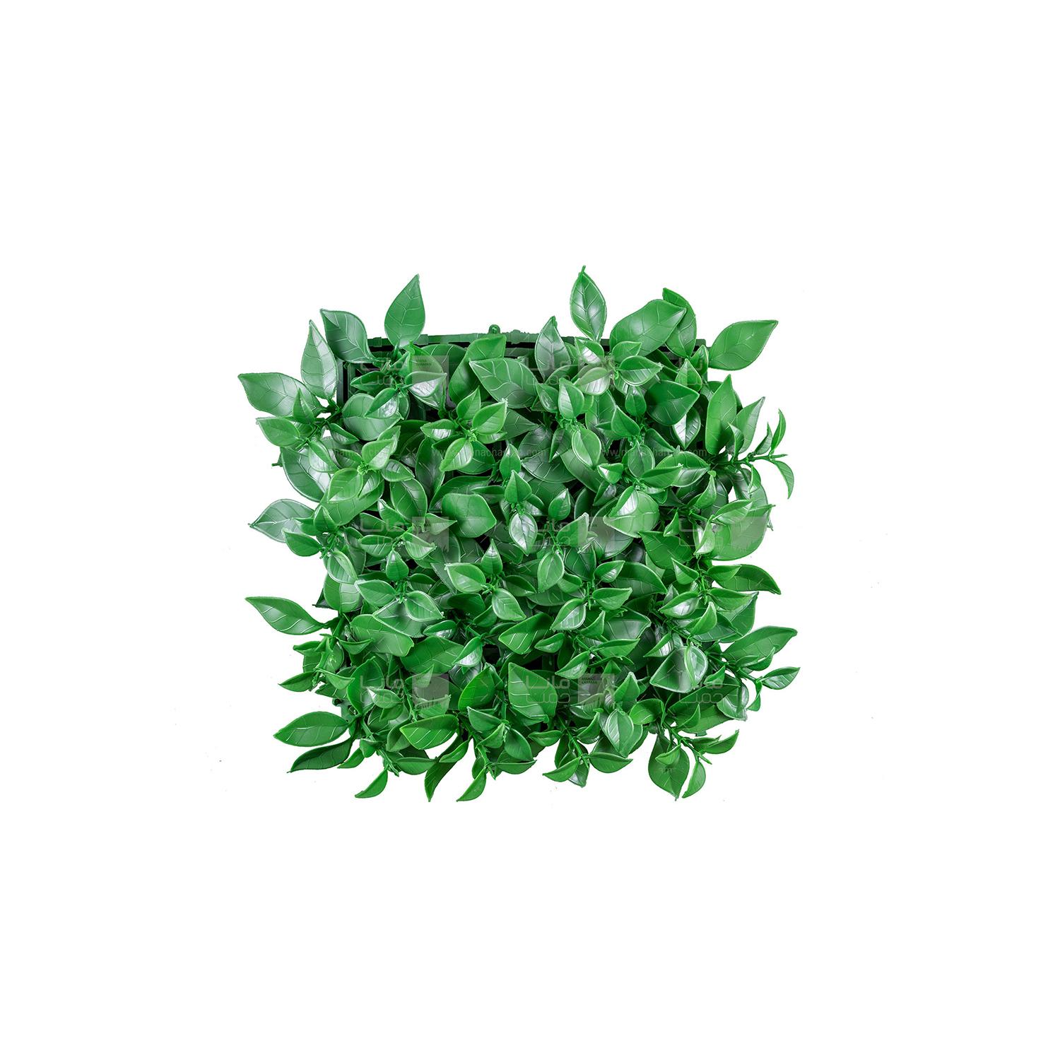 Chidaneh.com placeholder image