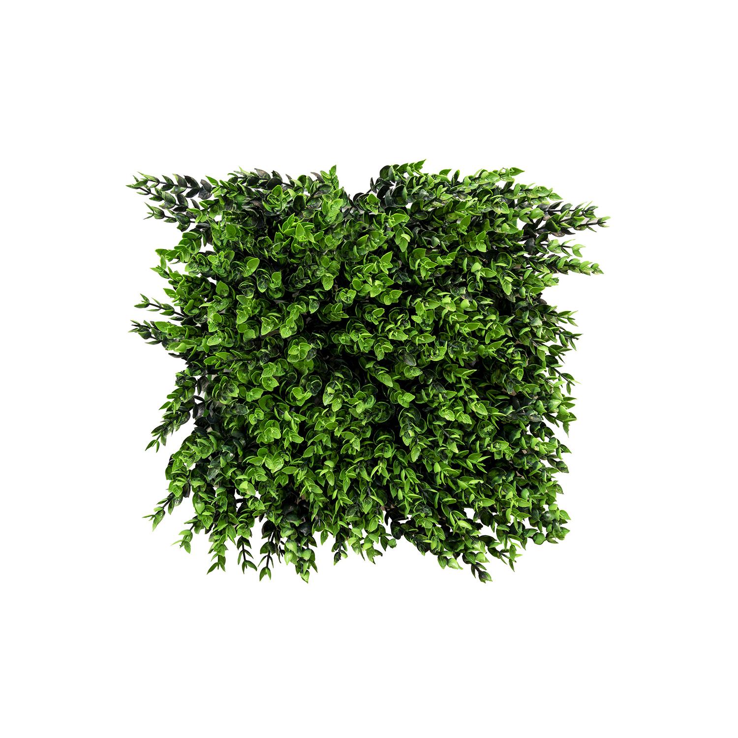 Chidaneh.com placeholder image