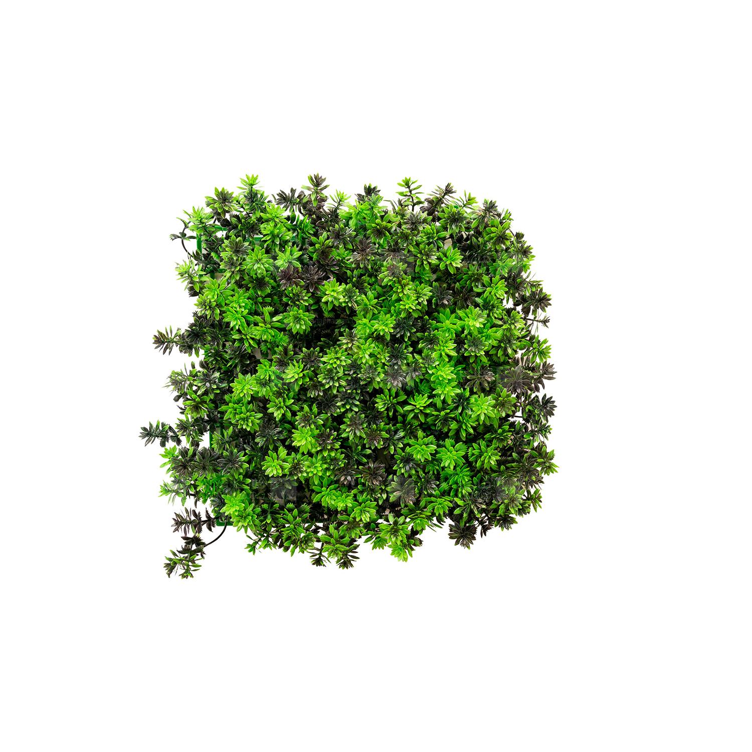 Chidaneh.com placeholder image