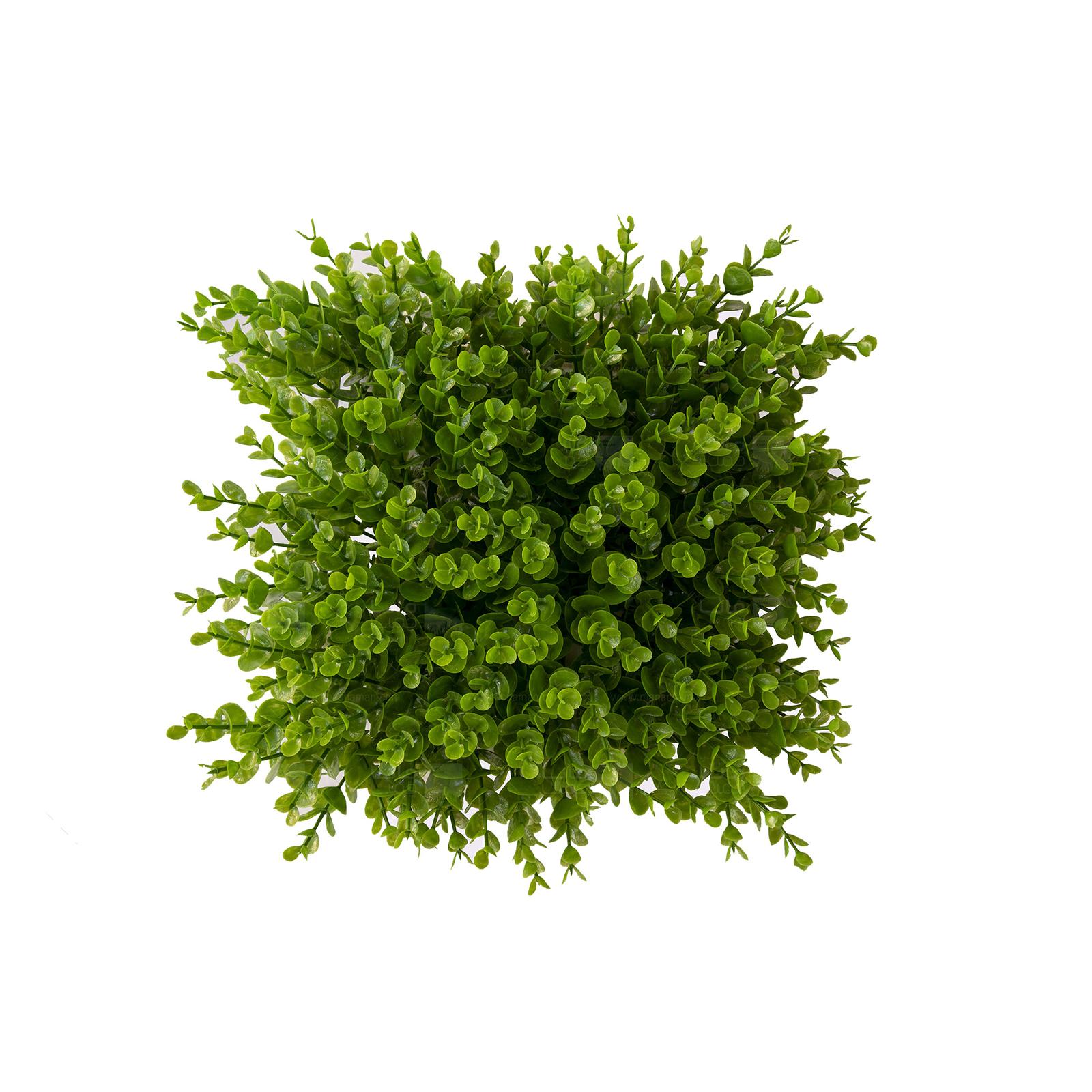 Chidaneh.com placeholder image