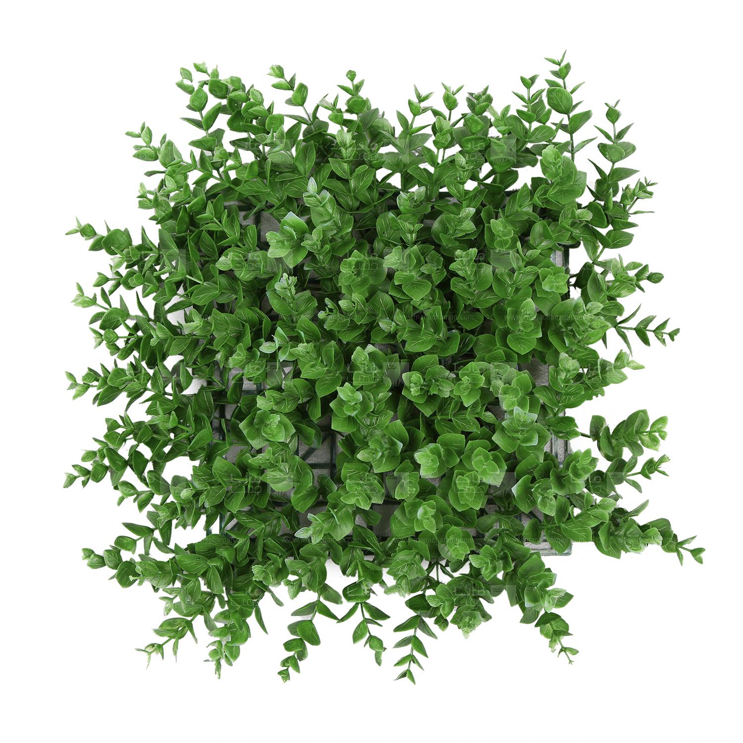 Chidaneh.com placeholder image
