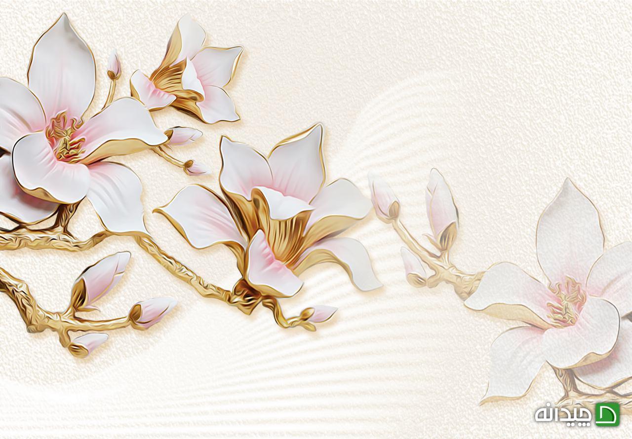 Chidaneh.com placeholder image