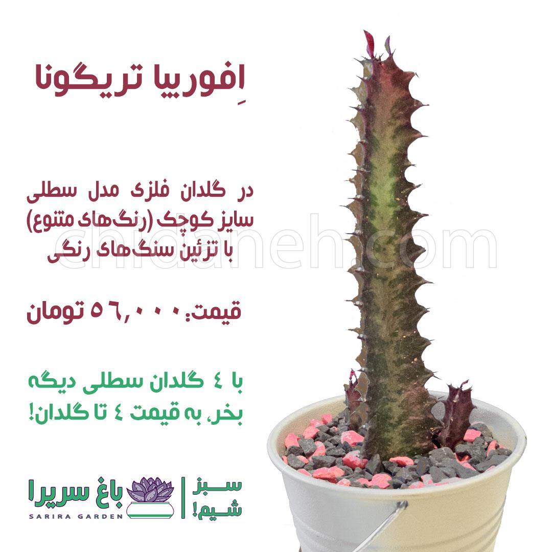 Chidaneh.com placeholder image