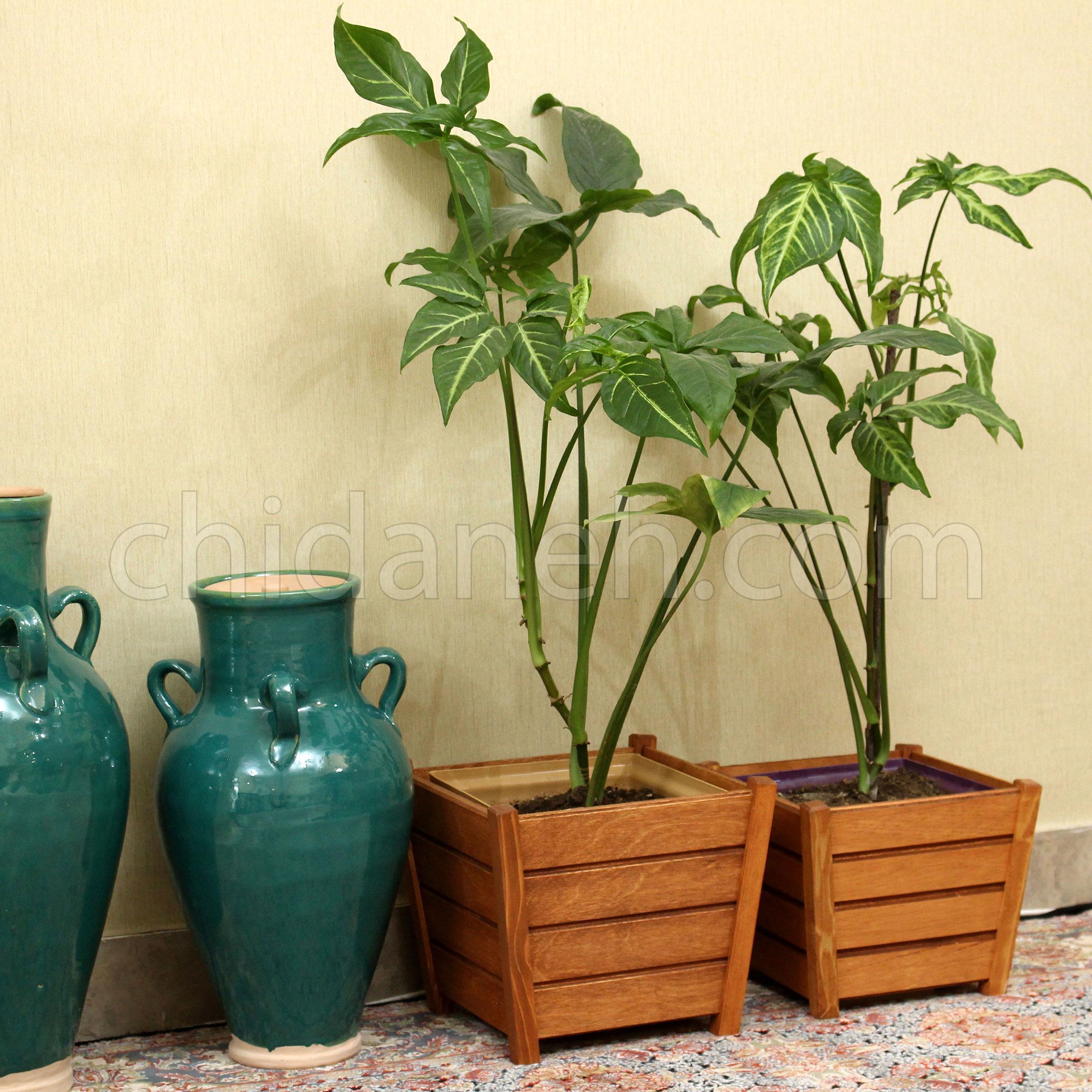 Chidaneh.com placeholder image
