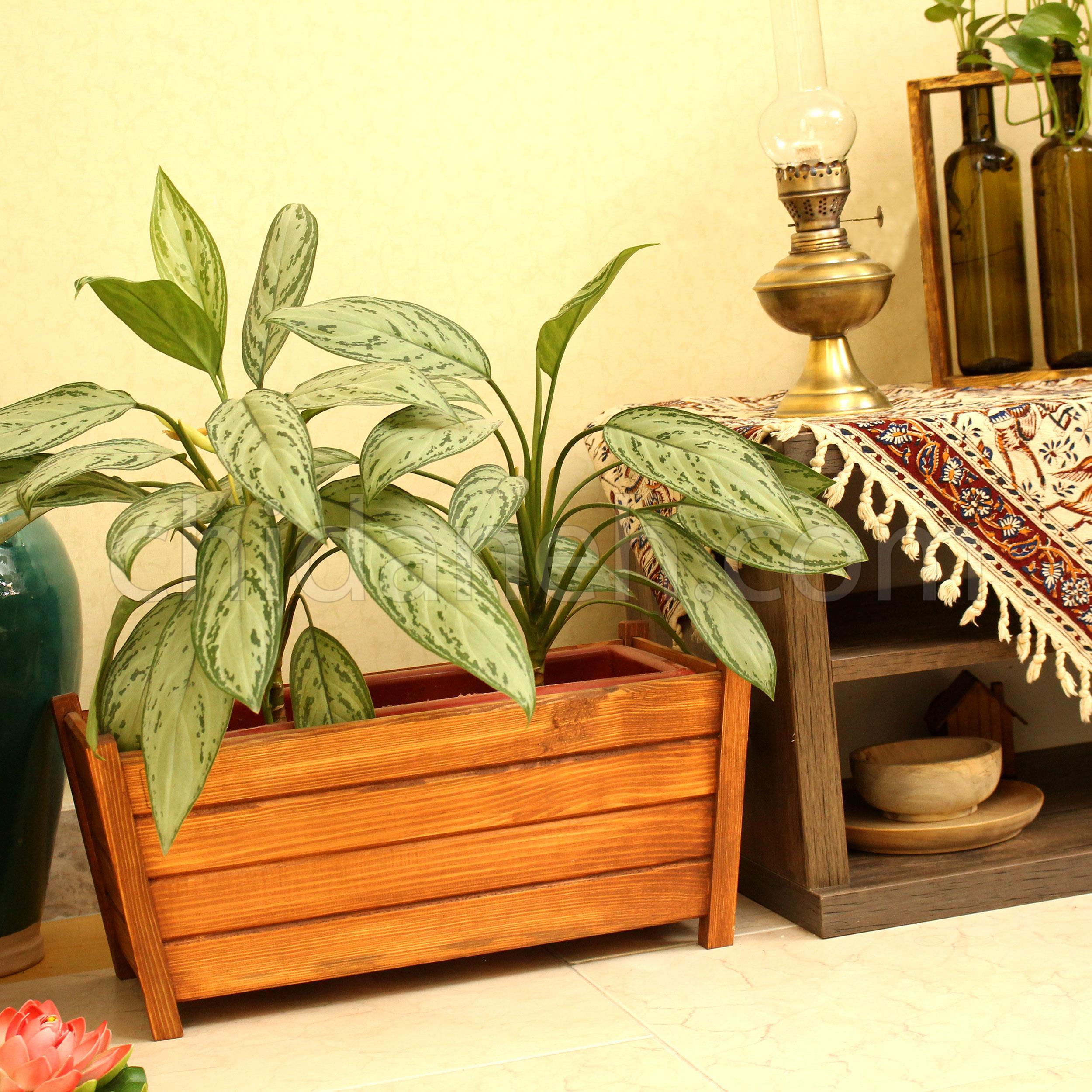 Chidaneh.com placeholder image