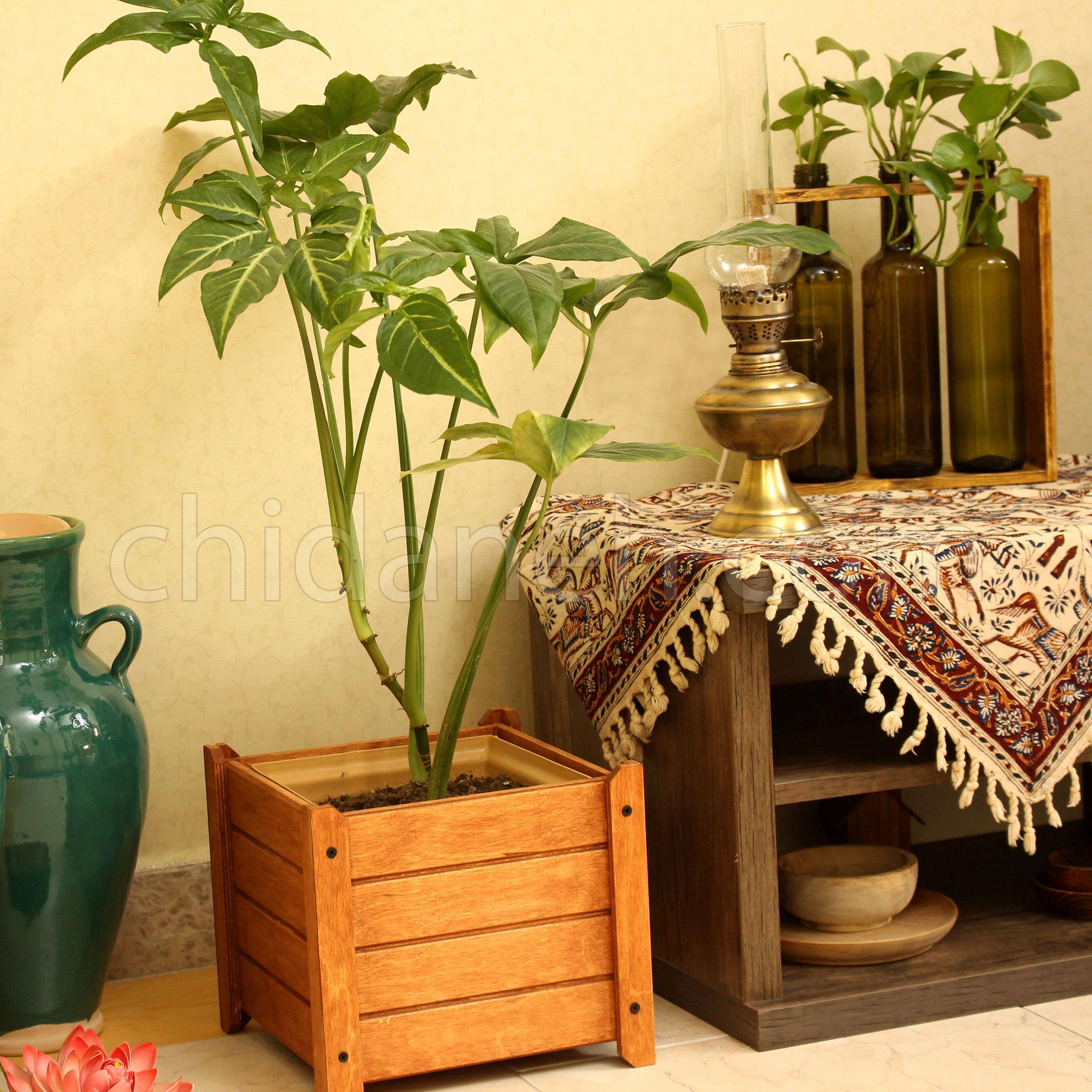 Chidaneh.com placeholder image