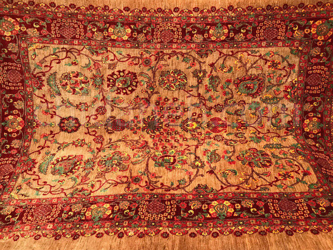 Chidaneh.com placeholder image
