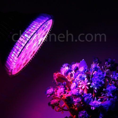 Chidaneh.com placeholder image