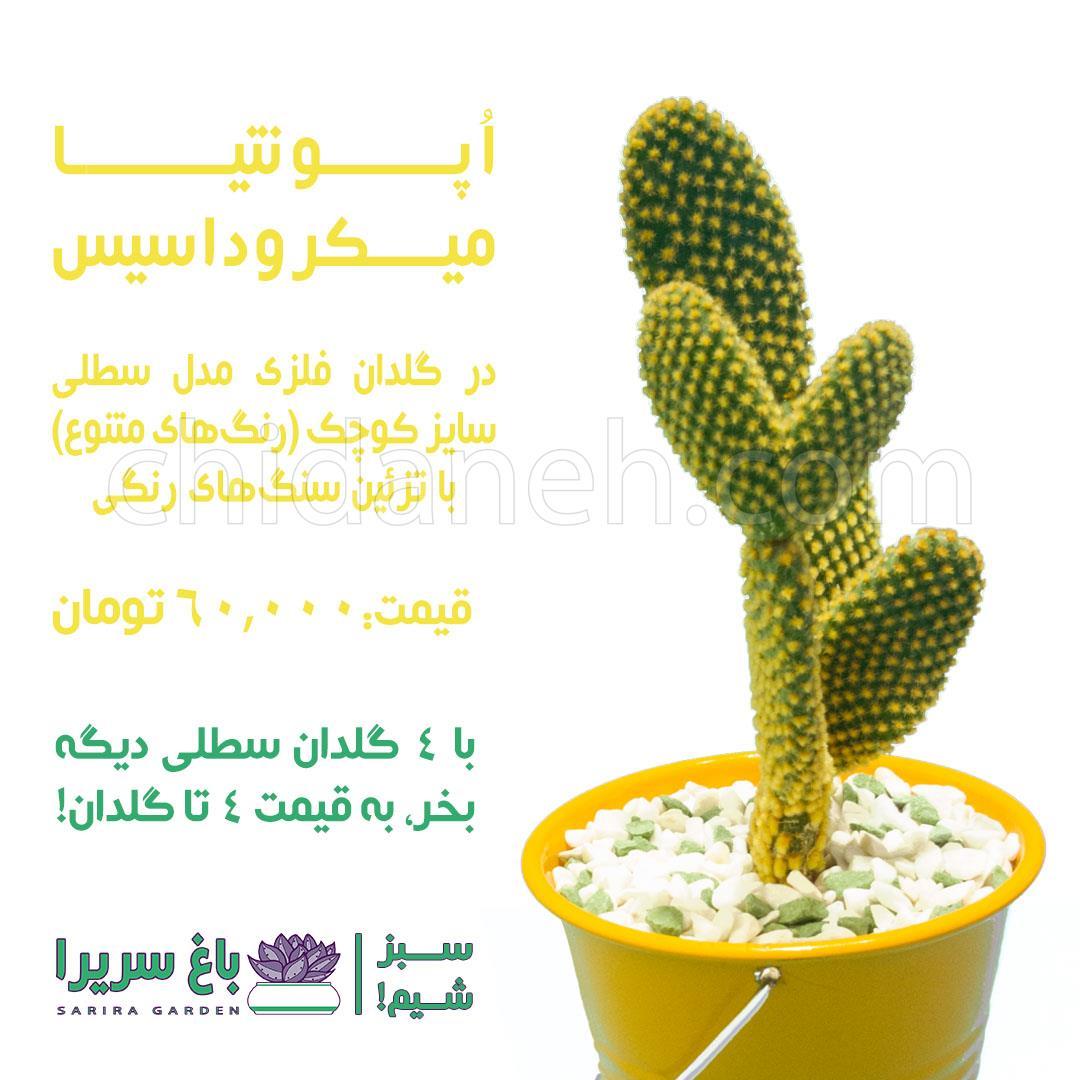 Chidaneh.com placeholder image
