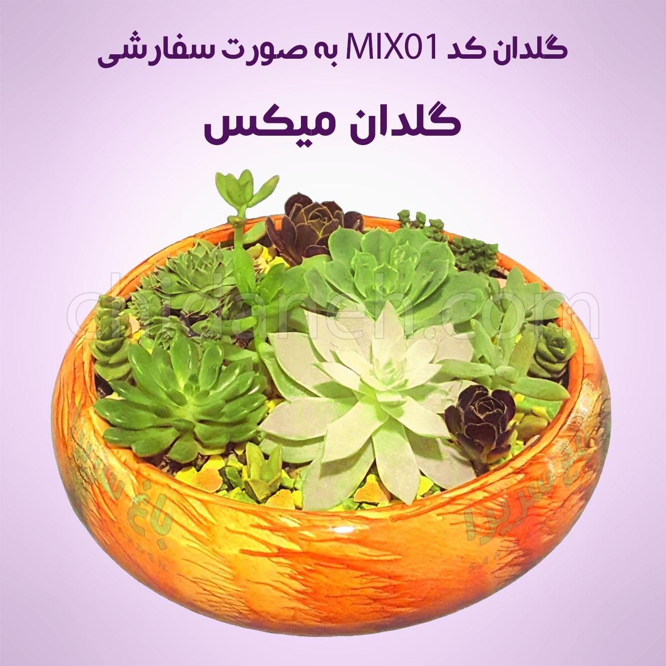 Chidaneh.com placeholder image