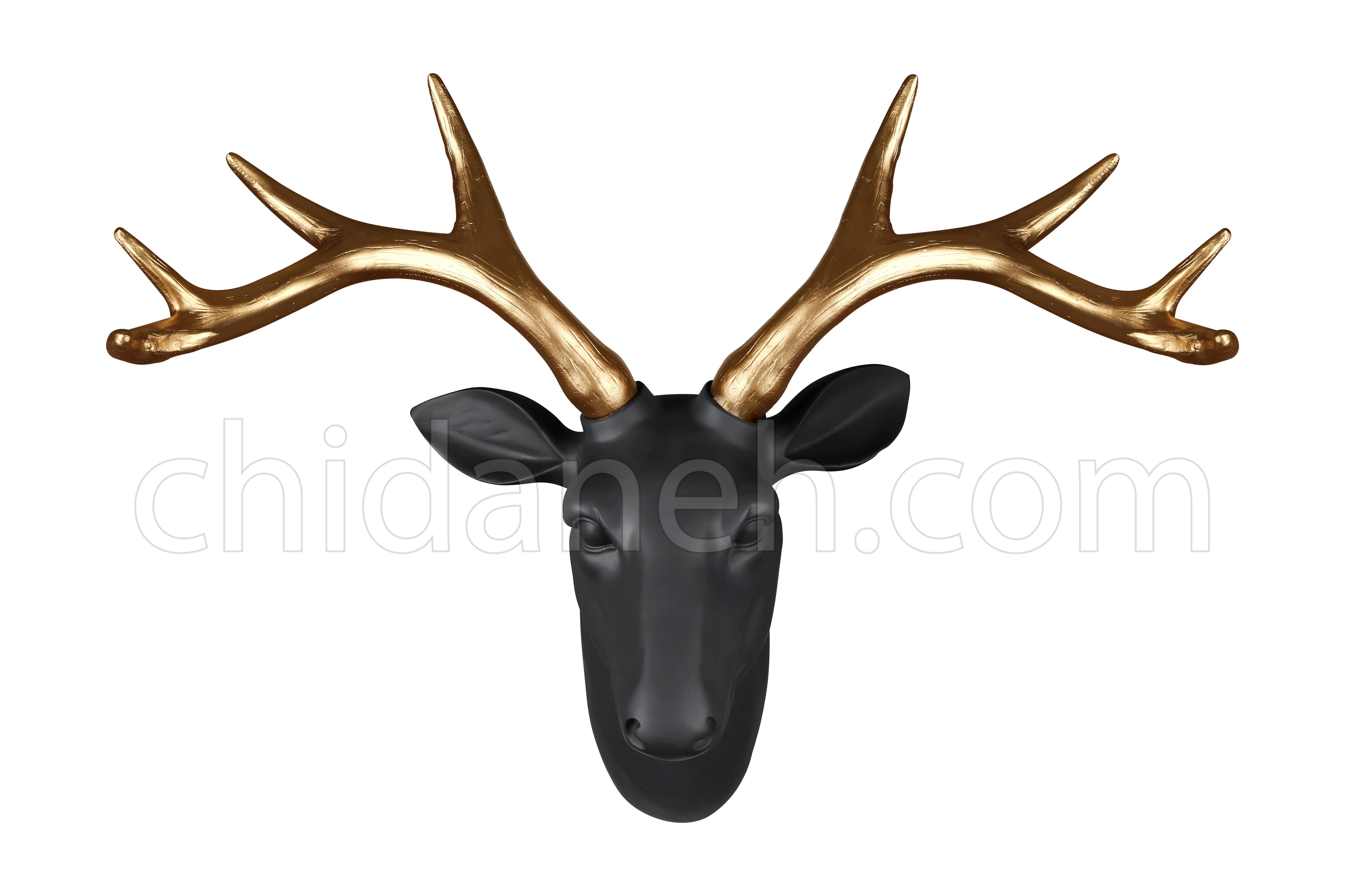 Chidaneh.com placeholder image