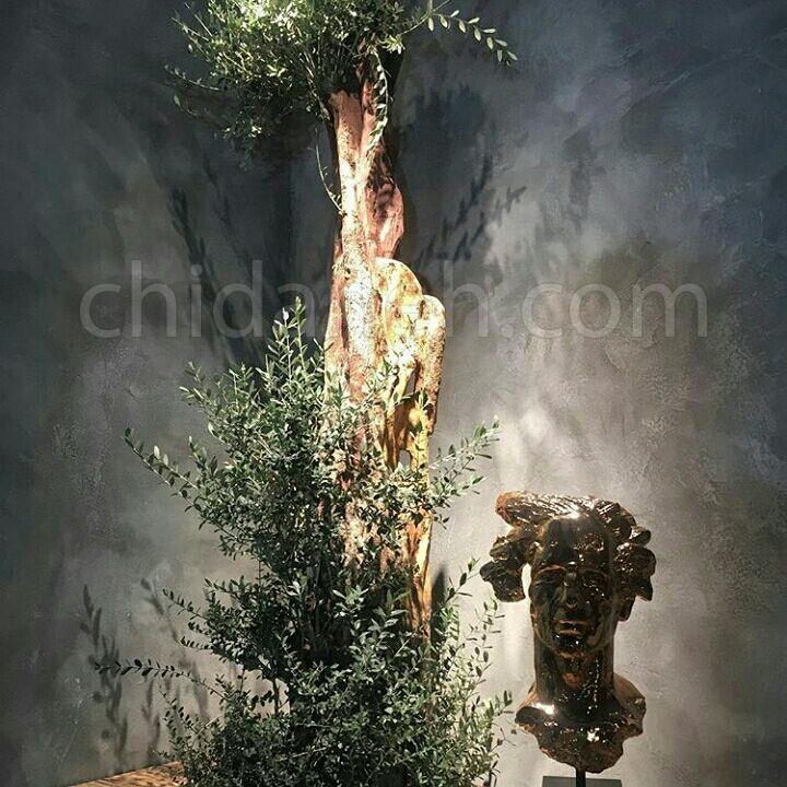 Chidaneh.com placeholder image