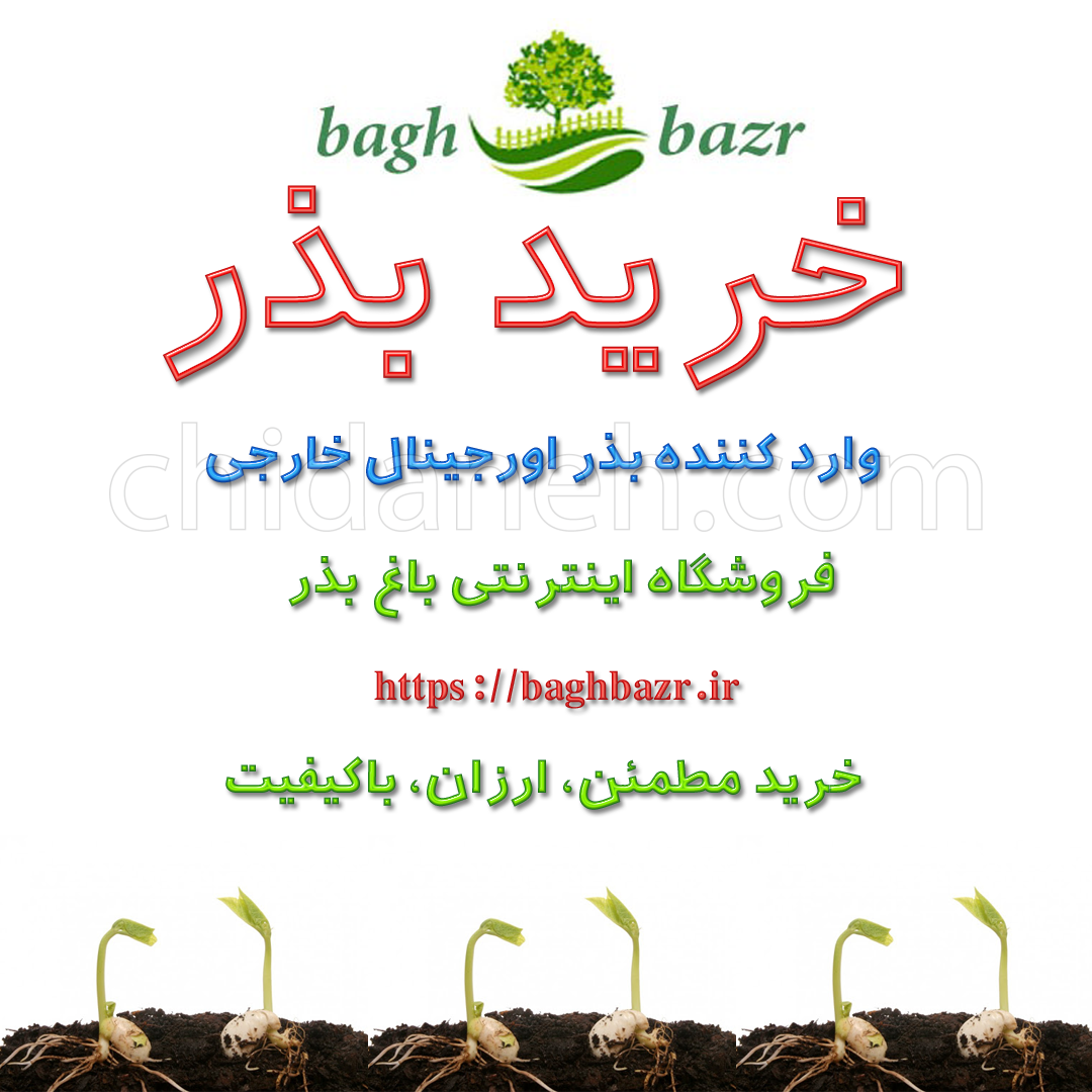 Chidaneh.com placeholder image