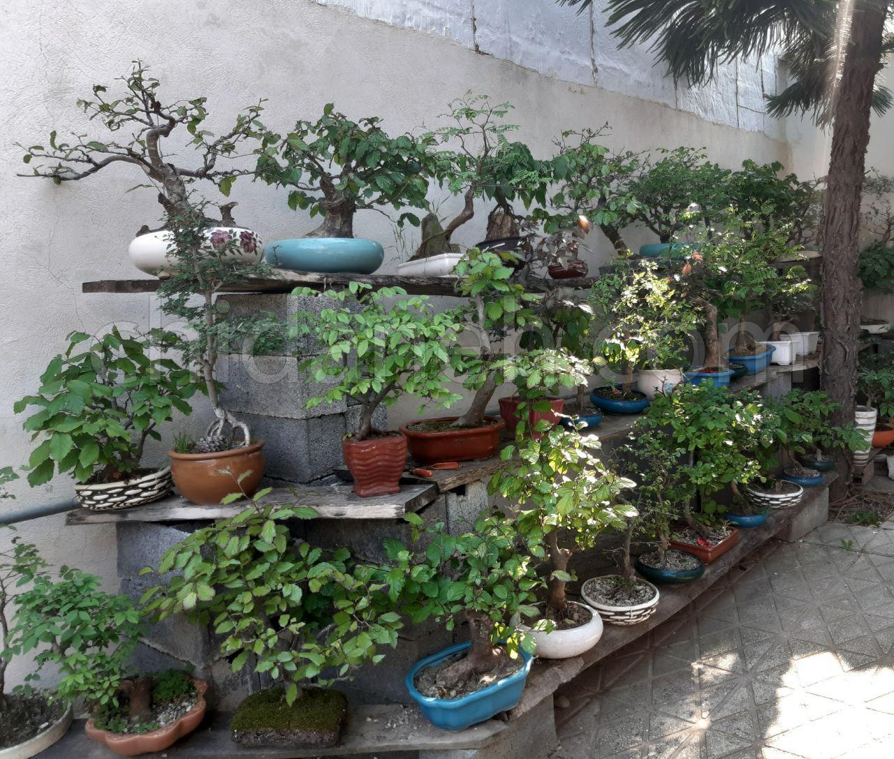 Chidaneh.com placeholder image