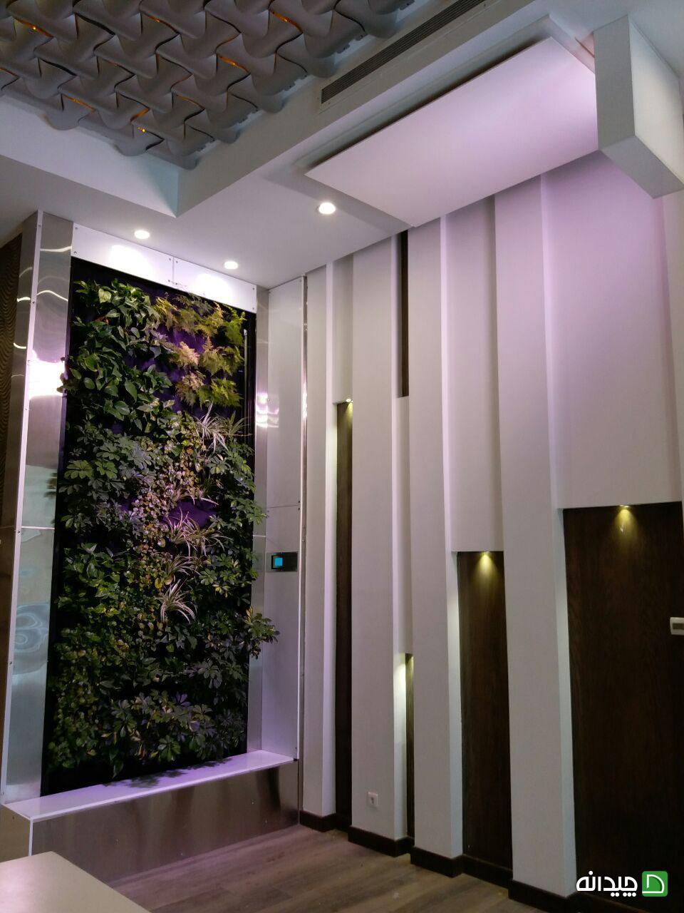 Chidaneh.com placeholder image
