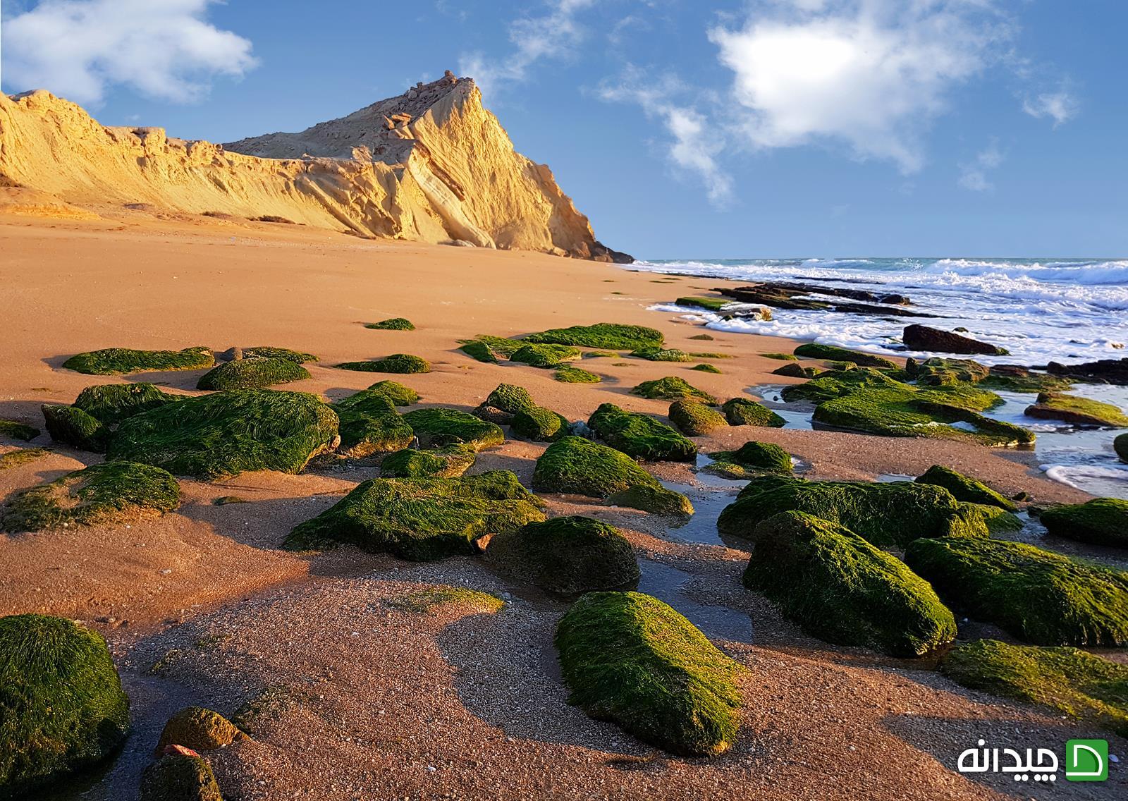 Chidaneh.com placeholder image