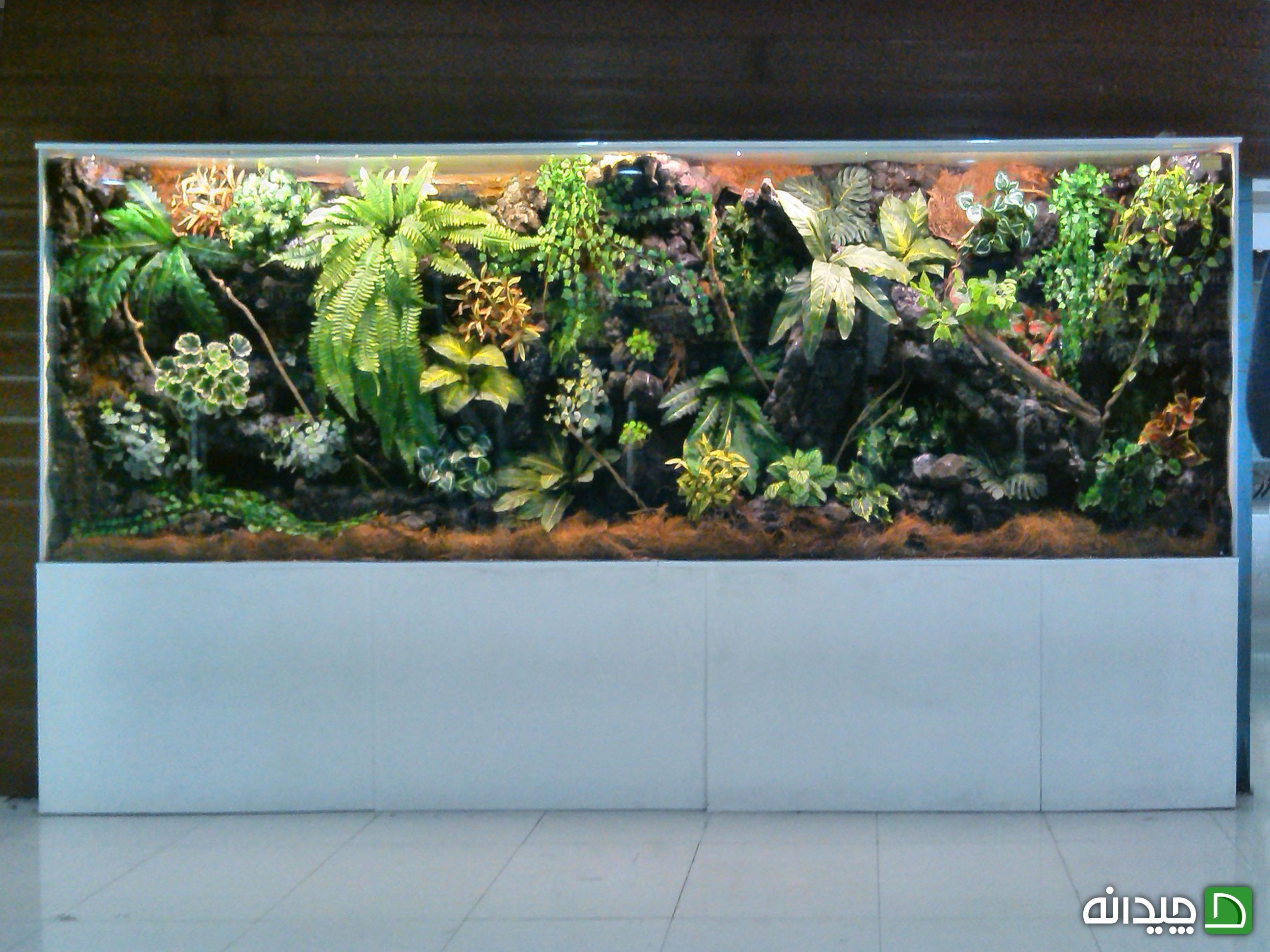 Chidaneh.com placeholder image