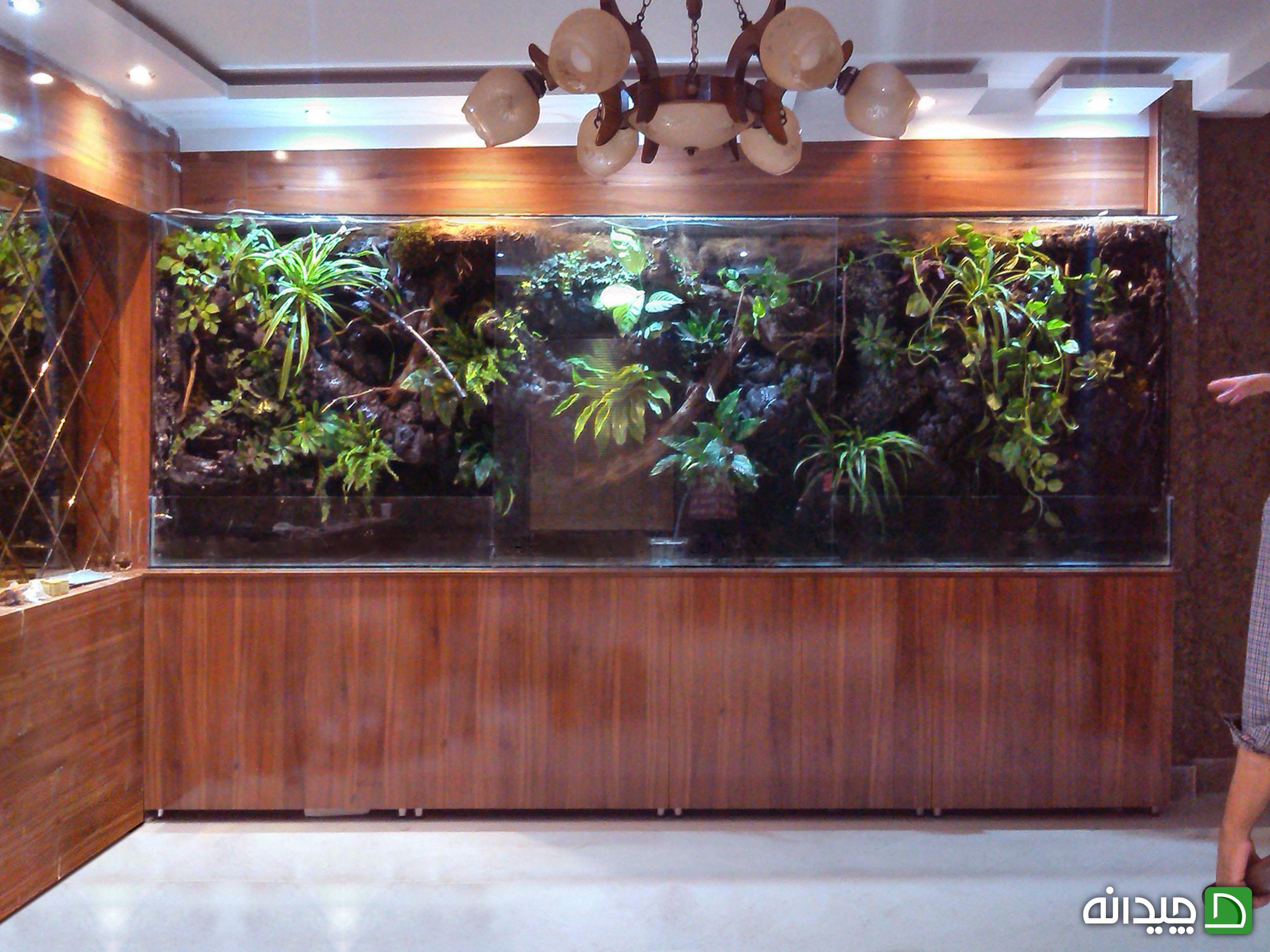Chidaneh.com placeholder image