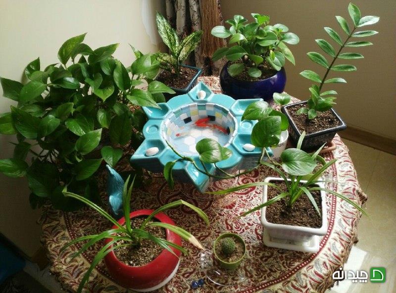 Chidaneh.com placeholder image