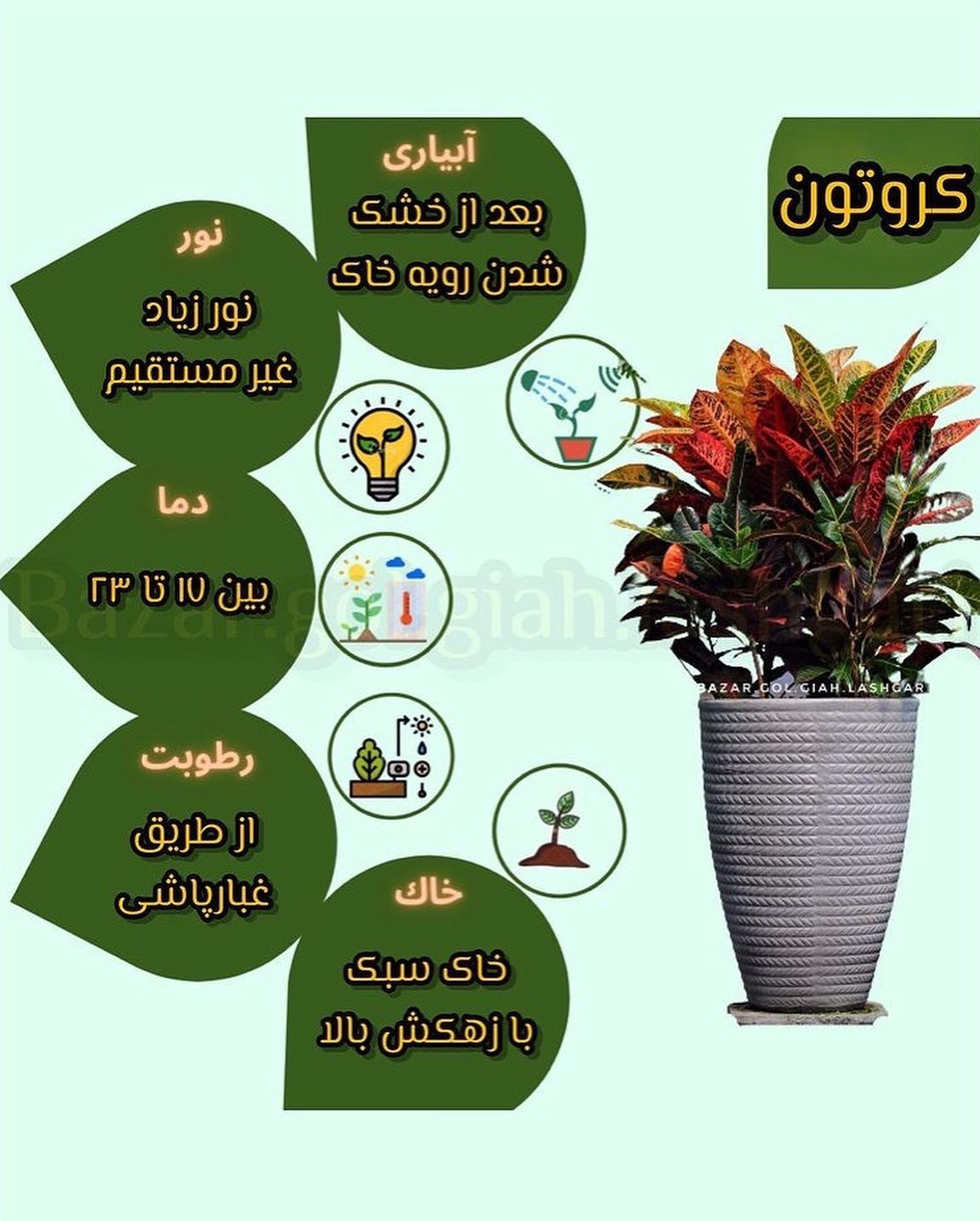 Chidaneh.com placeholder image