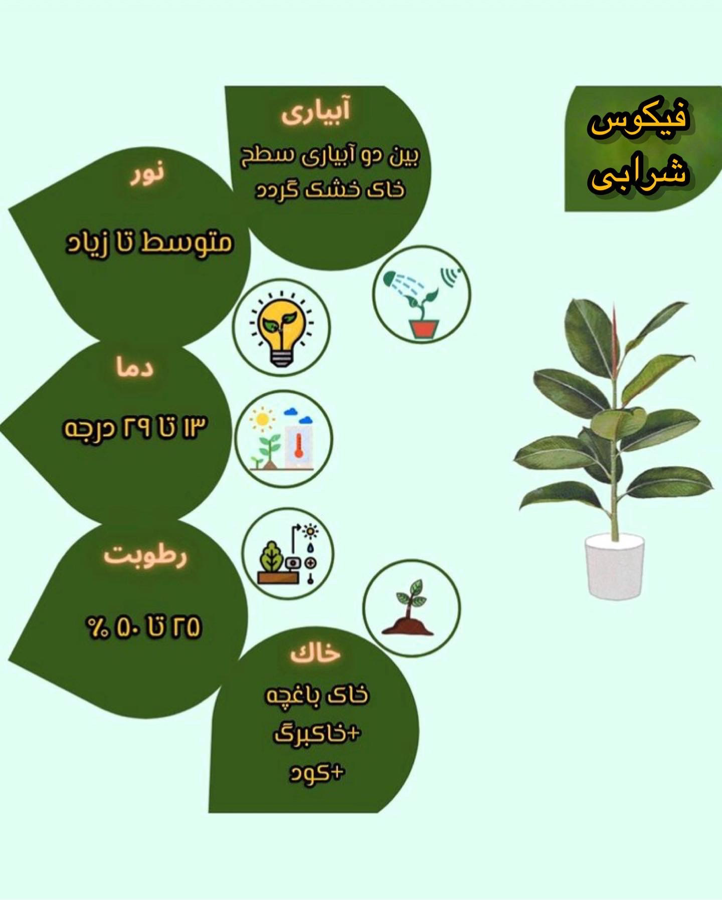 Chidaneh.com placeholder image