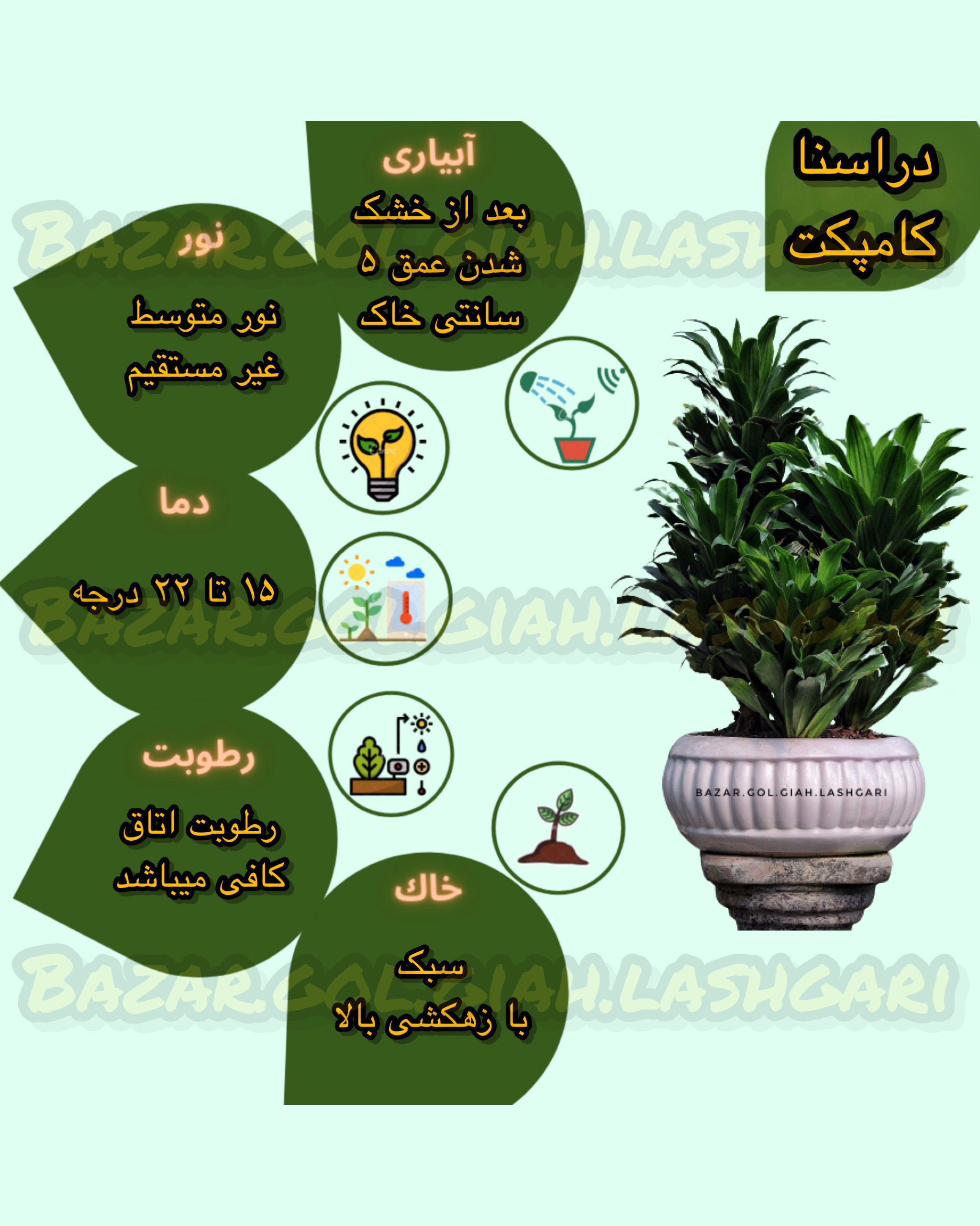 Chidaneh.com placeholder image