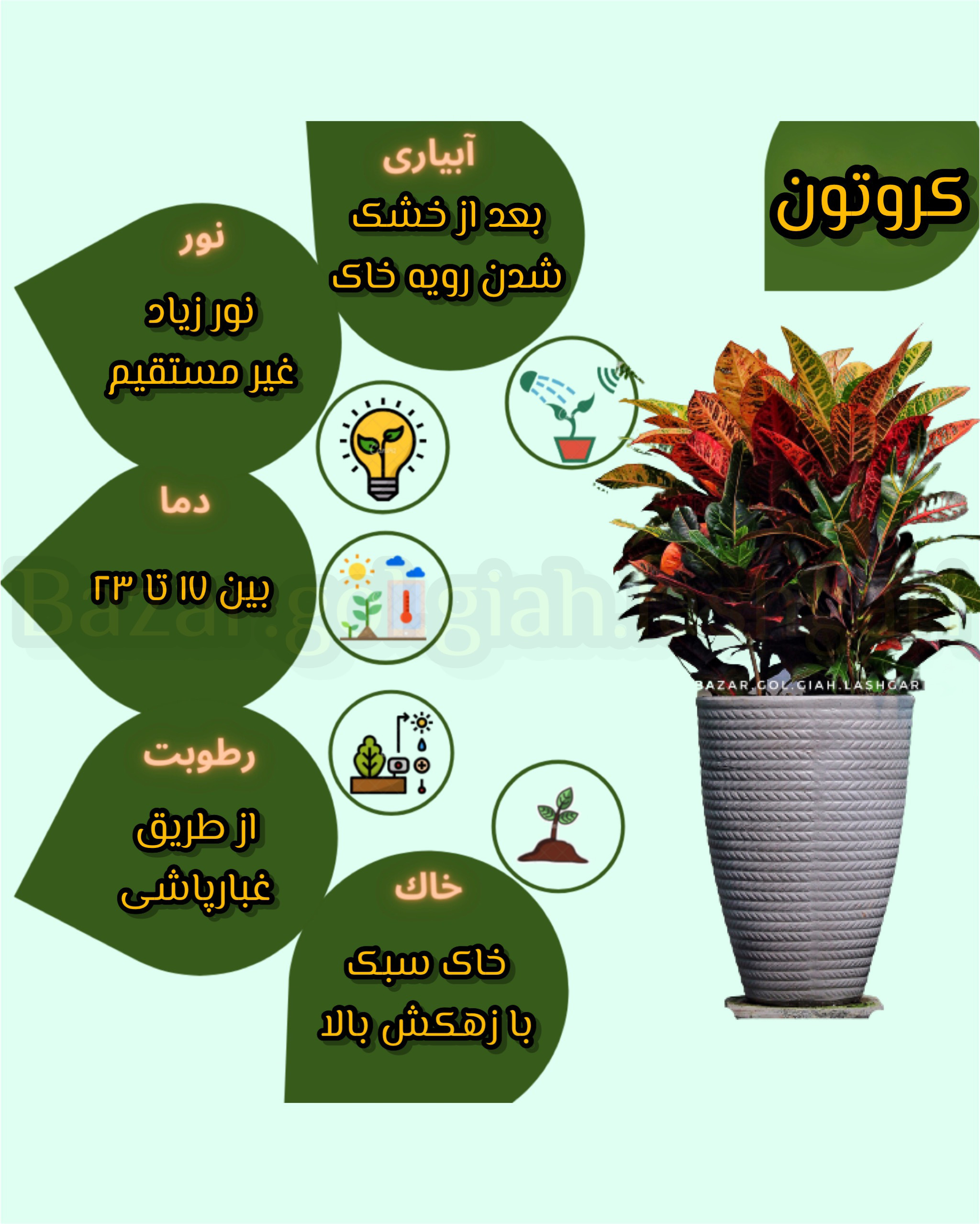 Chidaneh.com placeholder image