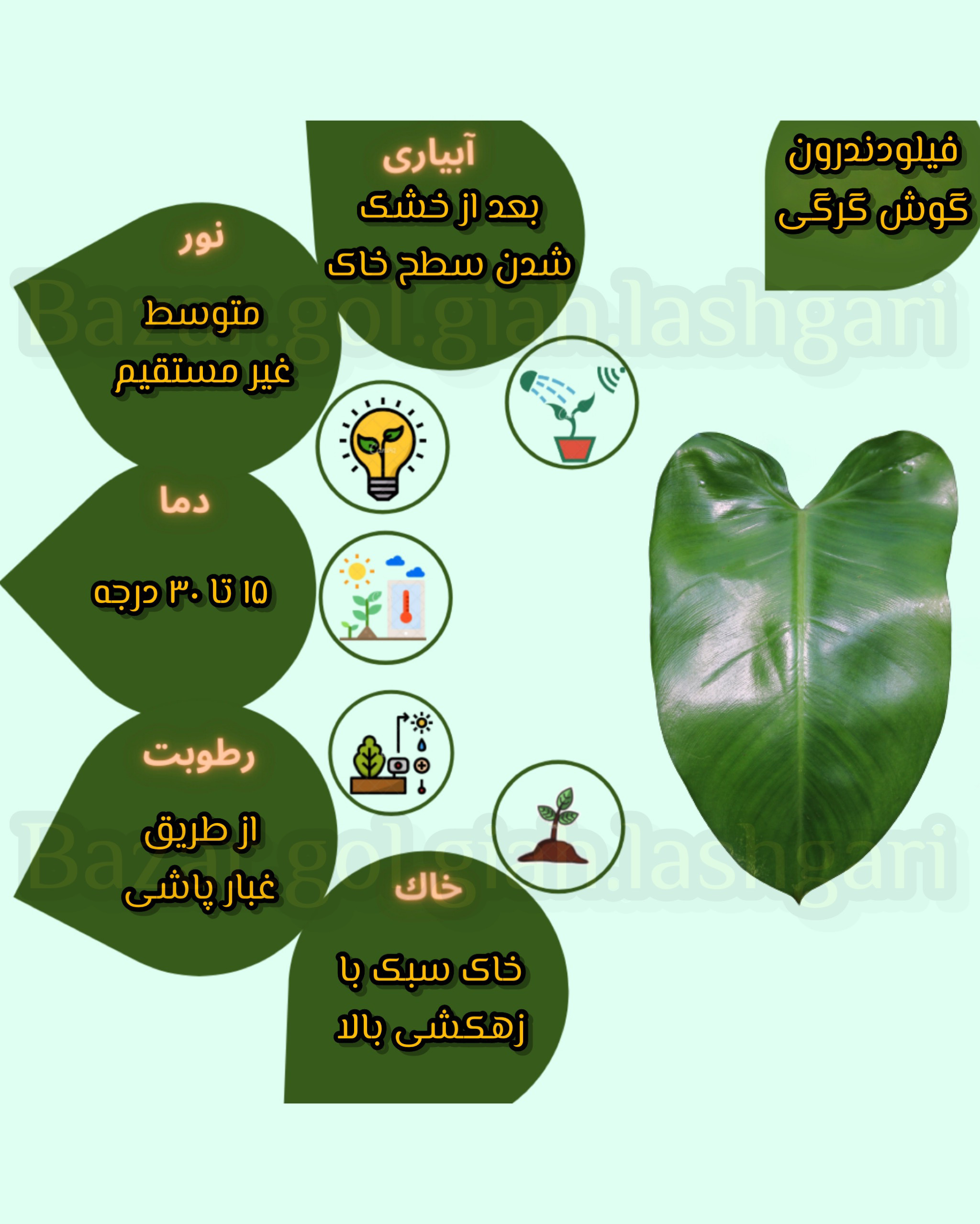 Chidaneh.com placeholder image