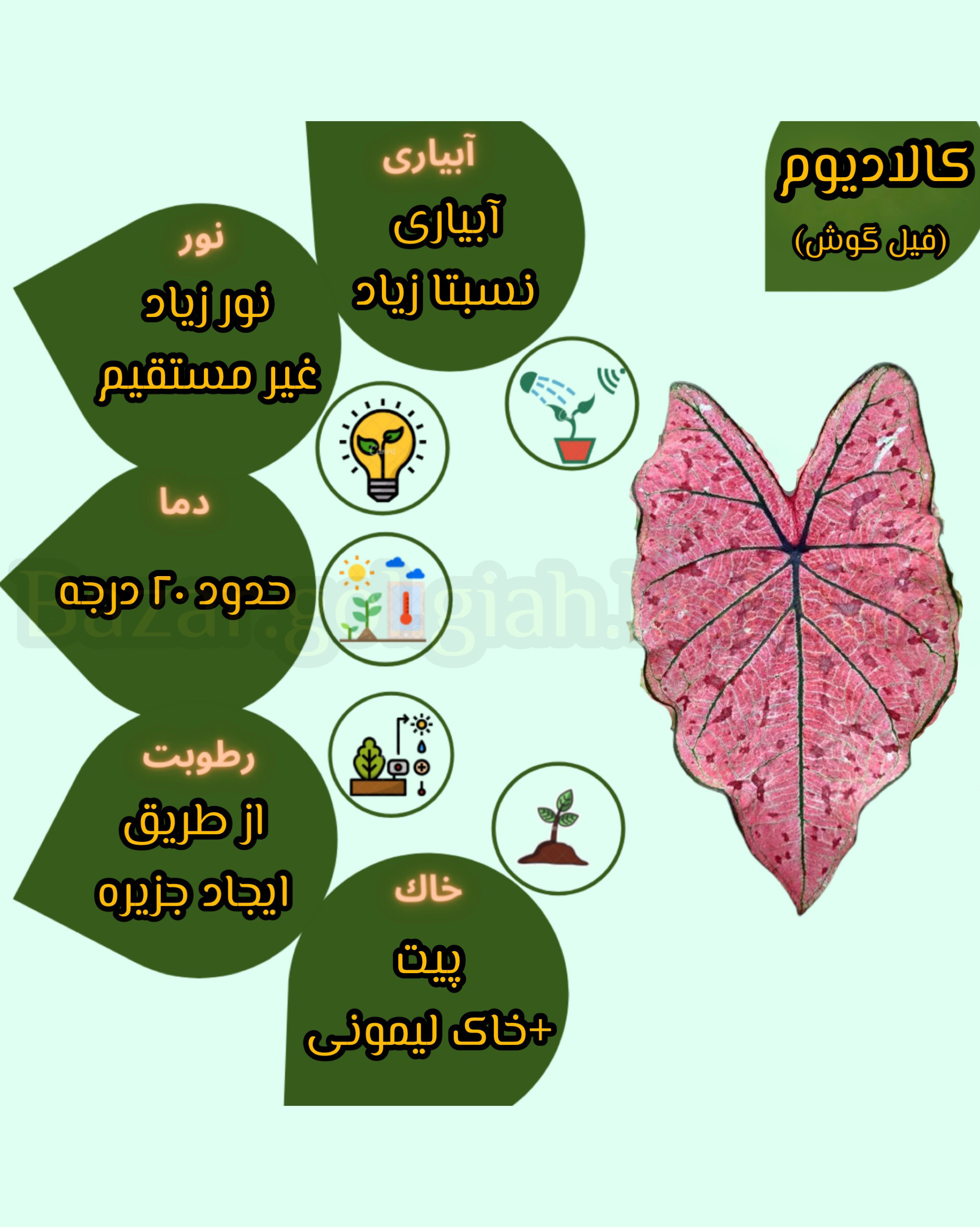 Chidaneh.com placeholder image