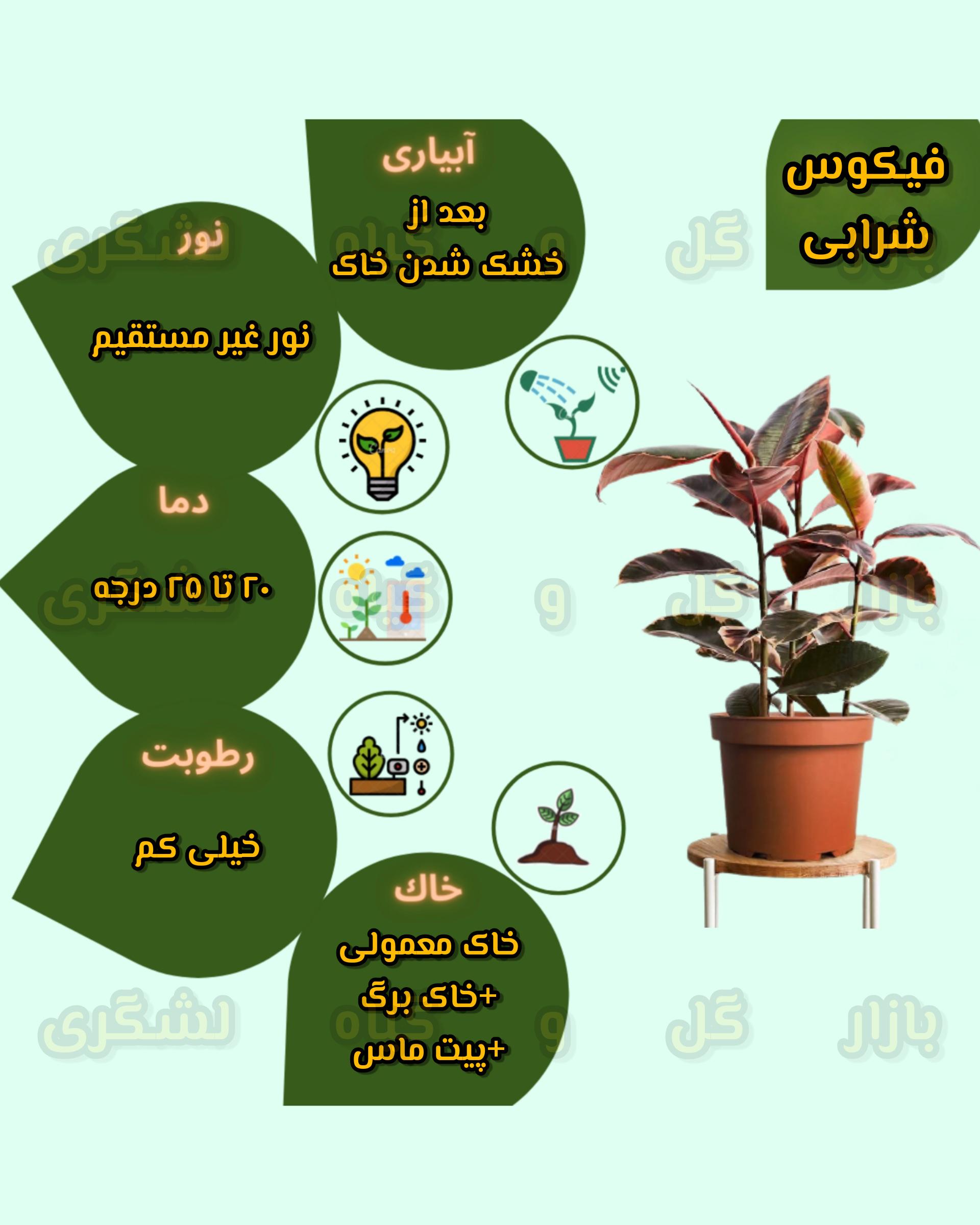 Chidaneh.com placeholder image