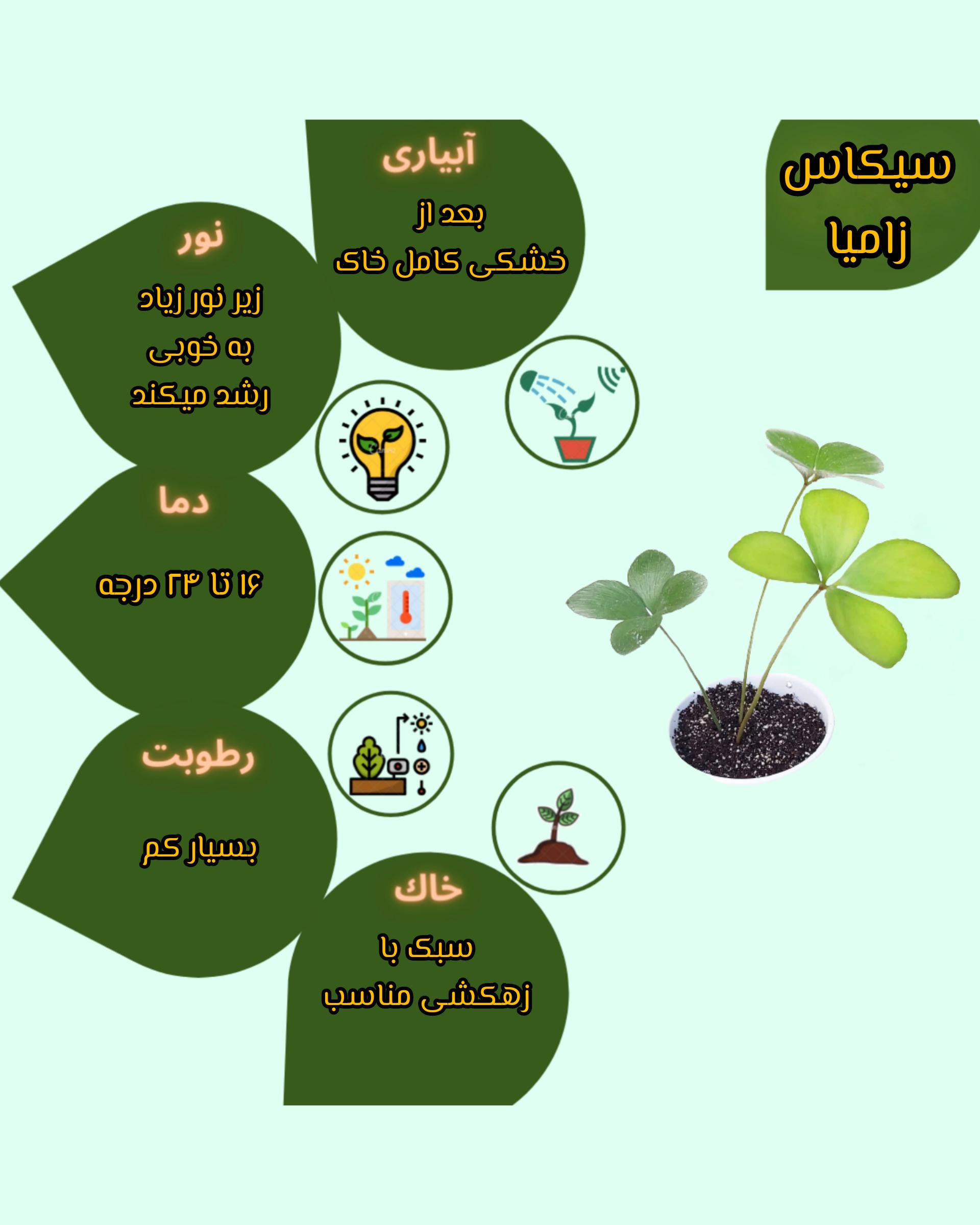 Chidaneh.com placeholder image