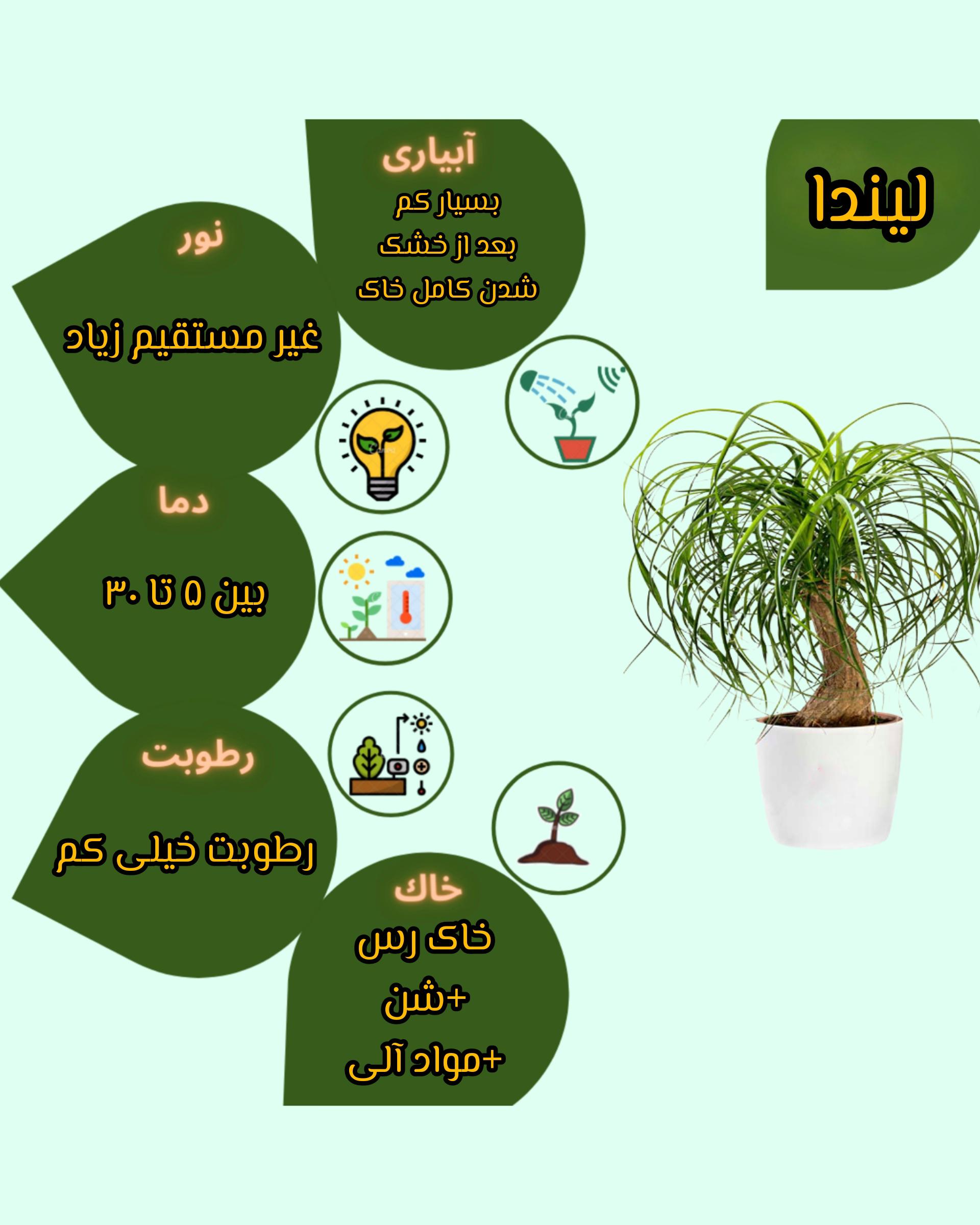 Chidaneh.com placeholder image